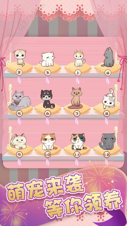 我要养猫咪游戏