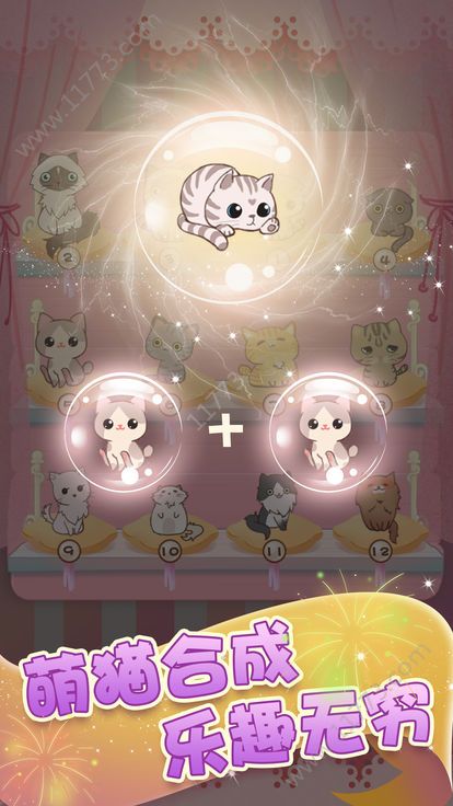 我要养猫咪游戏