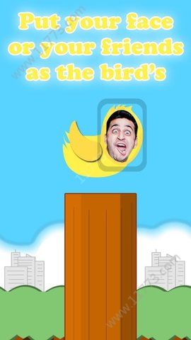Flappy You游戏