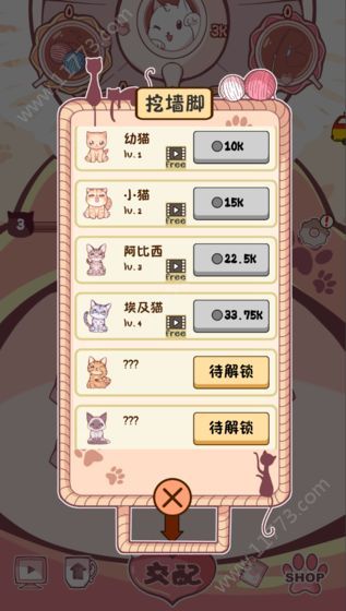 云撸猫咪游戏