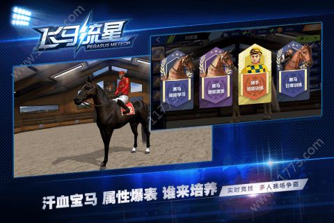 飞马流星游戏特点图片