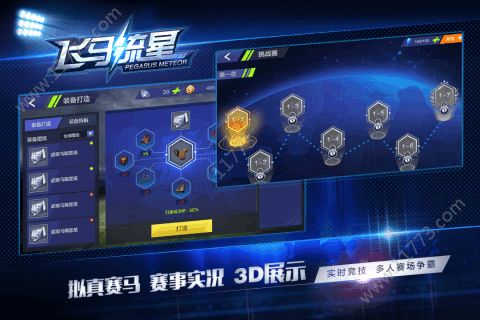 飞马流星游戏