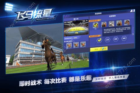 飞马流星游戏