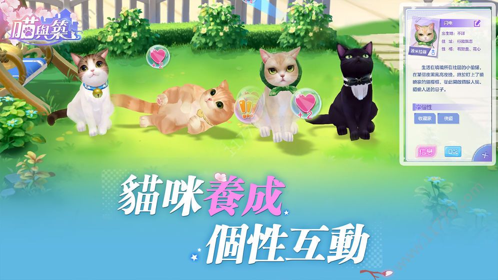 喵与筑游戏