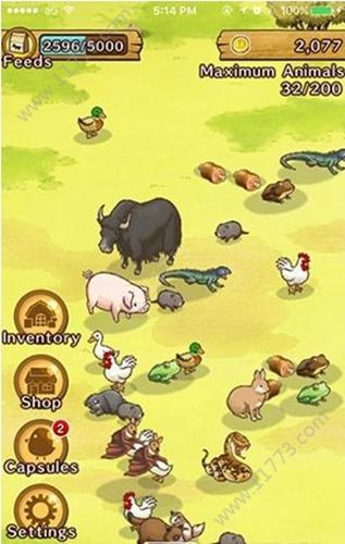 乐园生活绵羊村汉化手机版