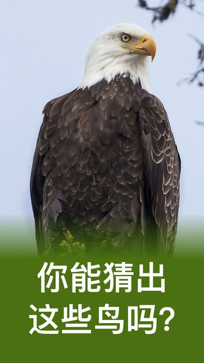 动物学测验游戏