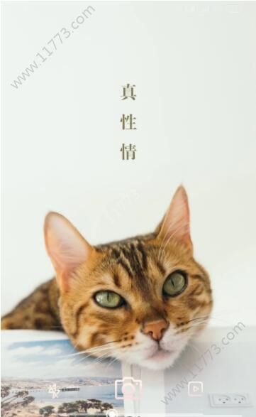 美妆镜子app