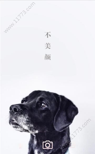 美妆镜子app