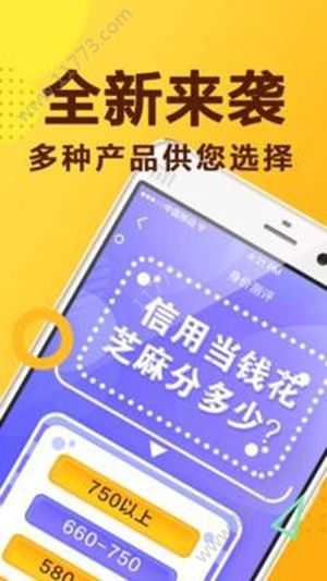 双双贷app