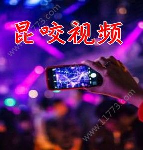 昆咬视频app