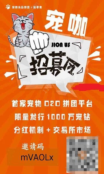 宠咖app