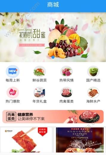 中态联盟app