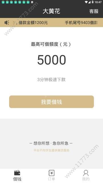 大黄花app