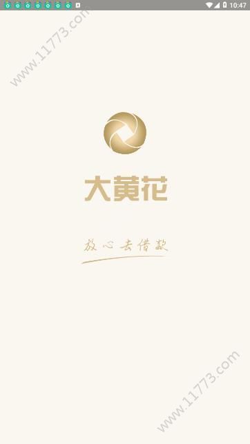 大黄花app