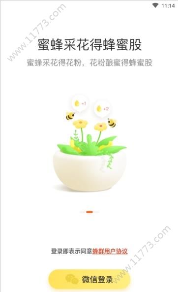蜂群app