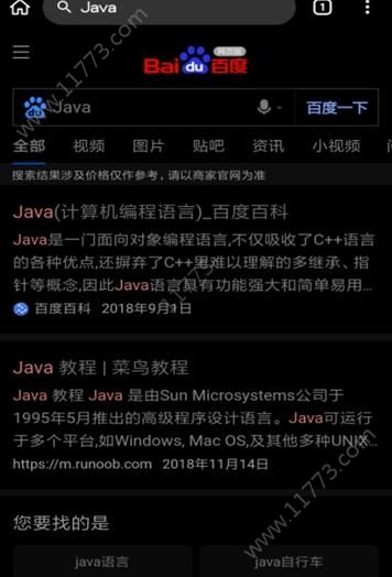 Kiwi Browser浏览器