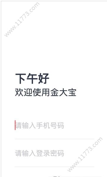 金大宝app