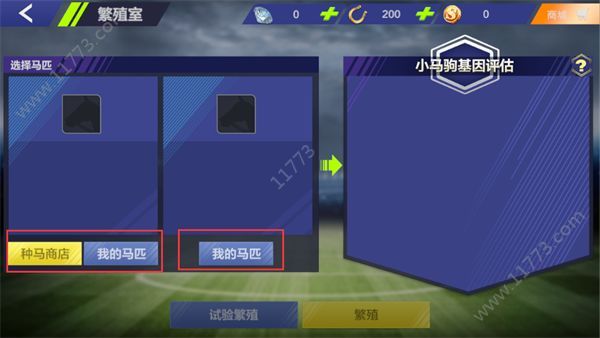 飞马流星怎么繁育高星马匹？种马基因配种玩法攻略[多图]图片3