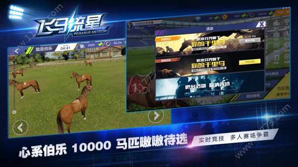 飞马流星怎么繁育高星马匹？种马基因配种玩法攻略[多图]图片1