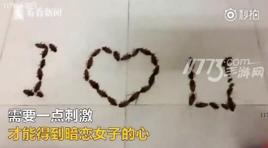 越南男子用蟑螂告白遭拒 网友：注孤生![多图]图片1